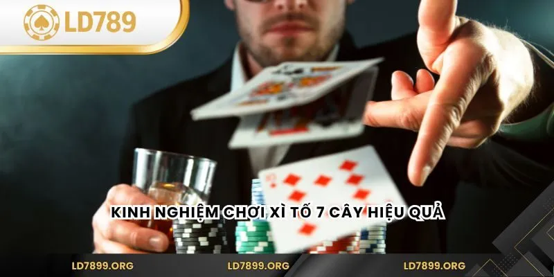 Xì Tố 7 Cây - Kinh Nghiệm Và Luật Chơi Cho Tân Binh Kinh nghiệm chơi xì tố 7 cây hiệu quả