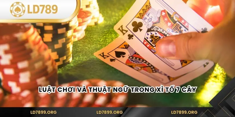 Xì Tố 7 Cây - Kinh Nghiệm Và Luật Chơi Cho Tân Binh Luật chơi và thuật ngữ trong xì tố 7 cây